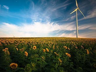 “睿信咨询”双碳行业分析月报（电池部分）2023年6月