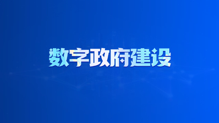 数字政府建设