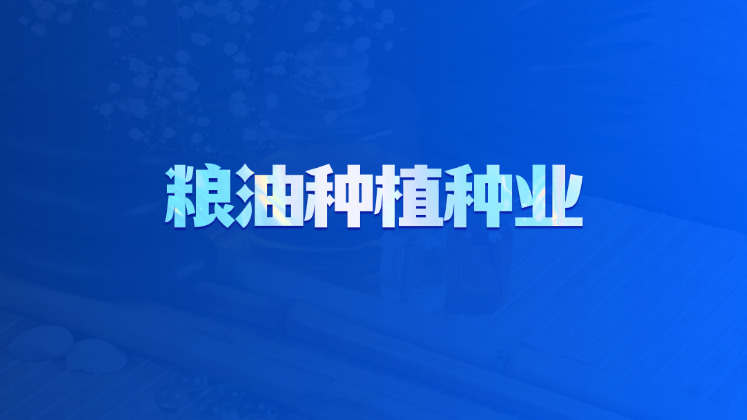粮油种植种业