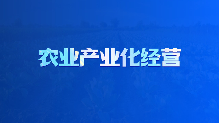 农业产业化经营