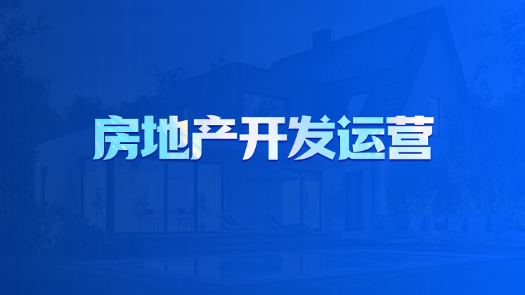 房地产开发运营
