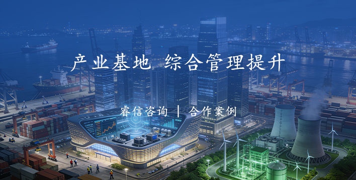 产业基地开发运营集团综合管理提升管理咨询项目案例