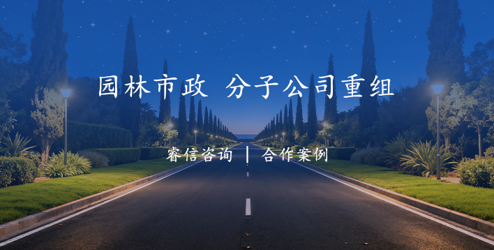 园林市政集团分子公司重组顾问服务管理咨询项目案例