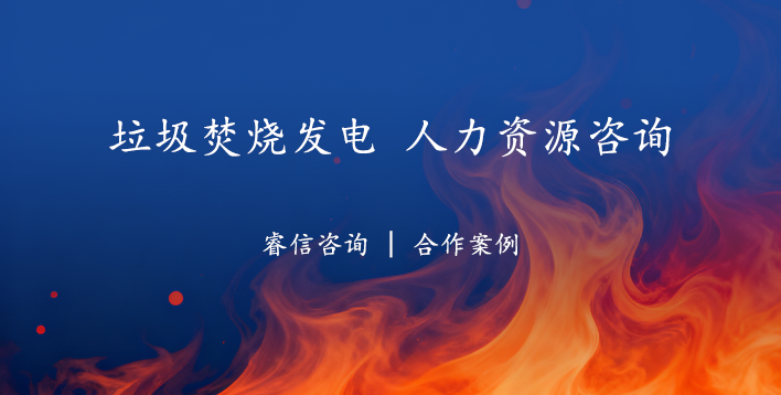 垃圾焚烧发电项目公司人力资源管理体系优化项目案例