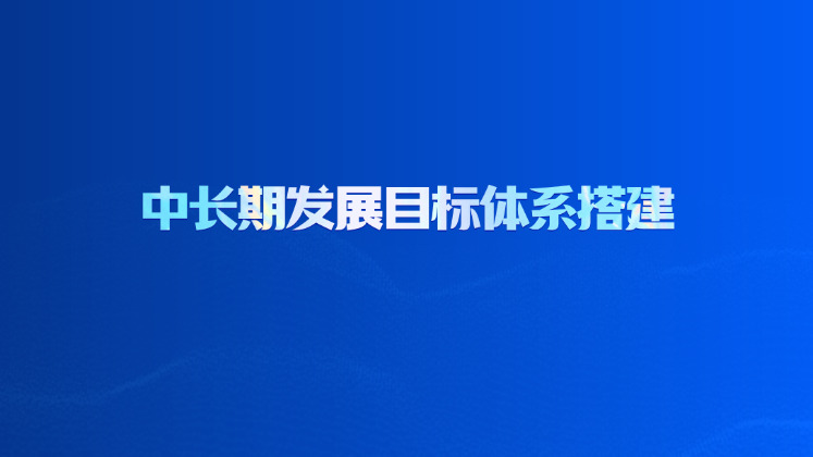 中长期发展目标体系搭建