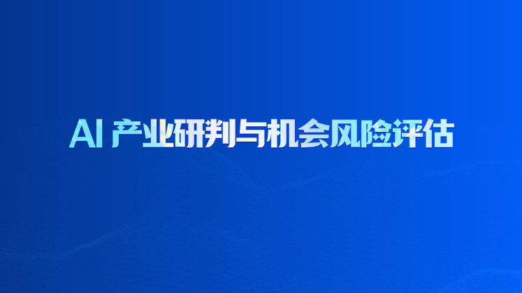AI 产业研判与机会风险评估