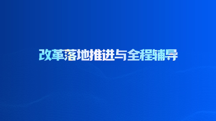 改革落地推进与全程辅导