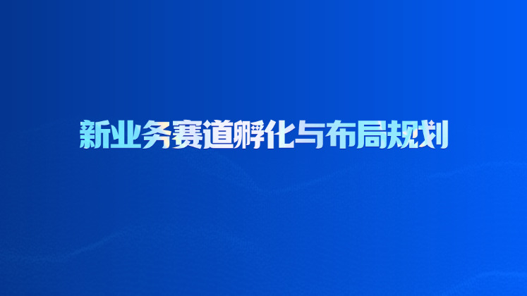 新业务赛道孵化与布局规划