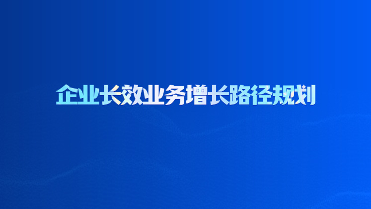 企业长效业务增长路径规划