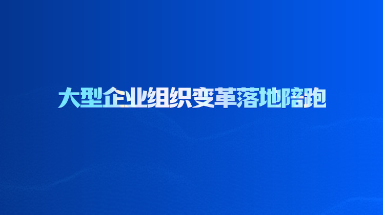 大型企业组织变革落地陪跑