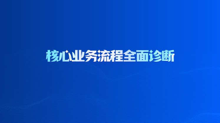 核心业务流程全面诊断