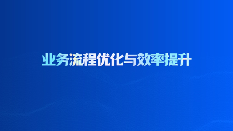 业务流程优化与效率提升