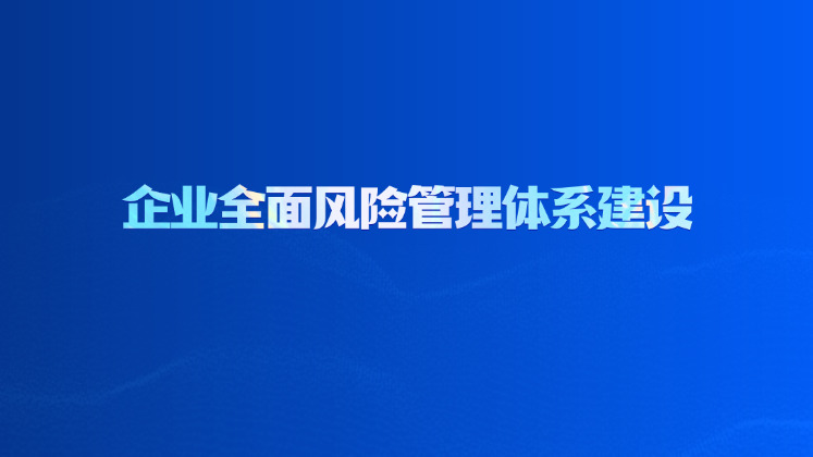 企业全面风险管理体系建设