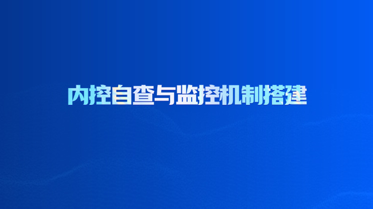 内控自查与监控机制搭建