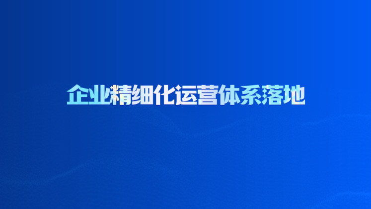 企业精细化运营体系落地