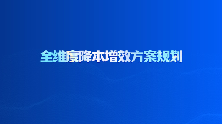 全维度降本增效方案规划
