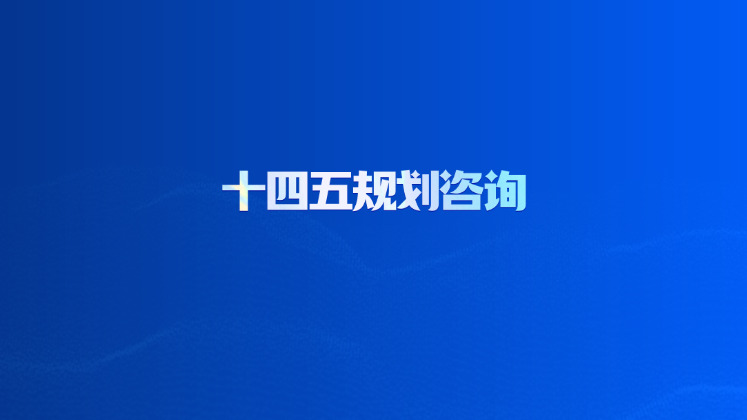 十四五规划咨询
