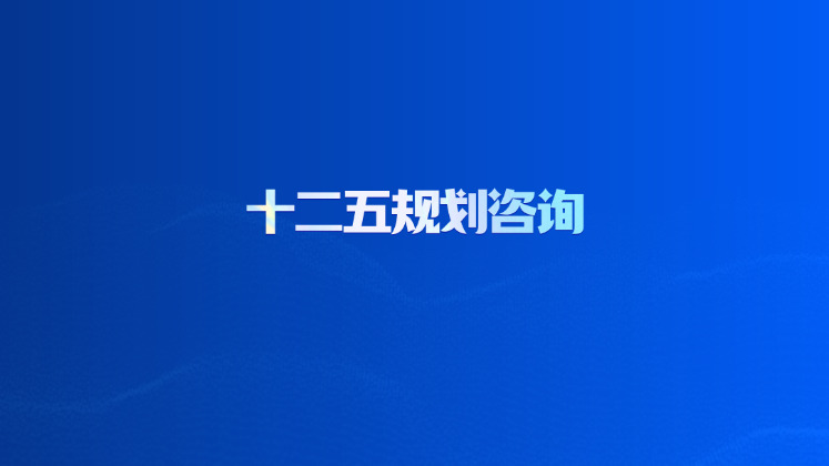 十二五规划咨询